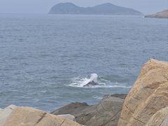 -广东惠东海龟国家级自然保护区