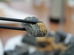 -胖大嫂渔家排档·全海景餐厅(渔村店)