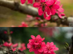 -露天矿生态公园