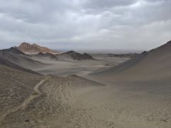 -青藏高原野生动物园