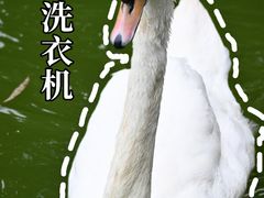 -成都动物园