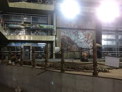 -南宫温泉水世界