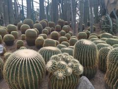 -南山植物园