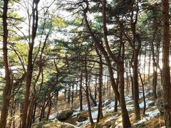 -妙峰山风景名胜区