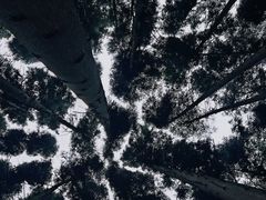 -山王坪喀斯特国家生态公园
