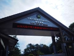 -中国大熊猫保护研究中心雅安碧峰峡基地