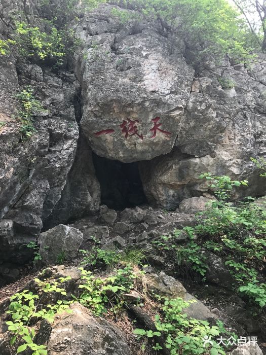 吊水壶国家森林公园图片