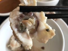 -鸽鸟轩(石岐店)