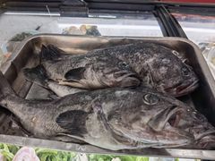 -吕四渔港码头海鲜餐厅
