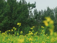 -长春公园(普阳街道)