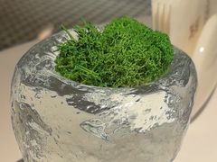 -茉里乐章(花园店)