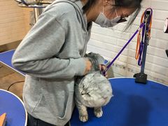 -PETKIT小佩宠物(古北店)
