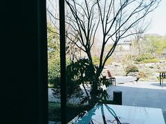 -春色如许·茶食餐厅(桃李春风店)