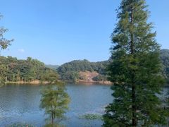 -广州市石门国家森林公园