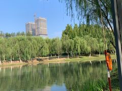 -滨湖塘西河公园