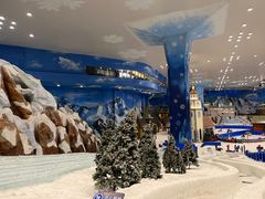 -湘江欢乐城欢乐雪域