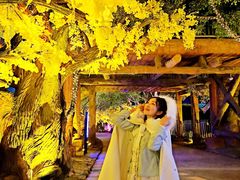 -横店影视城梦幻谷园区
