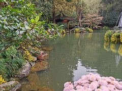 -杭州植物园