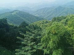 -莫干山风景区