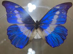 -陕西自然博物馆