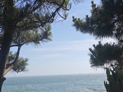 -小麦岛公园
