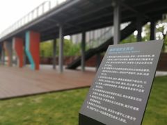 -滨江攀岩