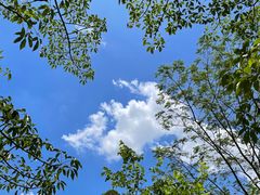 -番禺大夫山森林公园