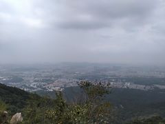 -紫金山天文台