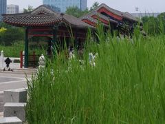 -西海子公园