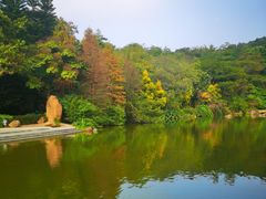 -云溪植物园