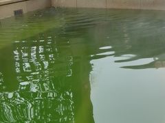 -思念果岭悦温泉