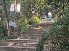 -杭州半山国家森林公园