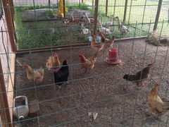 -白渔泡湿地公园