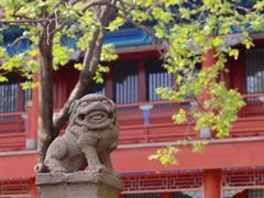 -北京石刻艺术博物馆(五塔寺)
