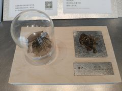 -喜茶(珠海华发商都店)