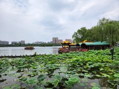 -济南大明湖景区