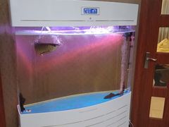 -东楠湾足浴·24H(金平路店)