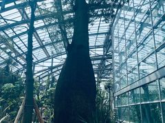 -南山植物园