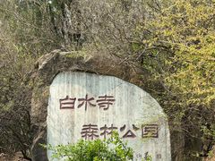 -白水寺森林公园