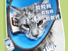 -联合动物医院(光谷诊疗中心)