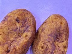 -巴黎贝甜(五道口店)