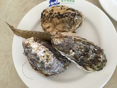 -春华海鲜城(广场西苑店)