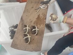 -阳澄湖大闸蟹·琼灵阁牌品牌连锁(吴中总店)