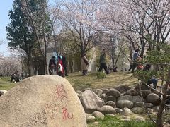 -堤角公园