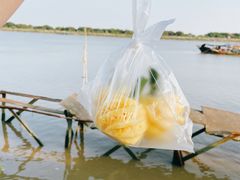 -大湾区中央湿地公园-十九涌