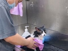 -皮特动物医院(24小时店)