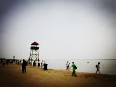 -碧海金沙