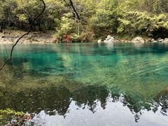 -石台牯牛降景区