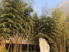 -十八棵（老龙井）御茶园(老龙井店)