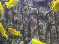-梦幻海洋王国(吾悦广场张家港店)